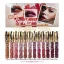 labial-liquido-matte-successful